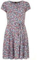 Dorothy Perkins Womens Billie and Blossom ditsy floral dress- Blue