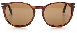 Persol Polarized Classic Sunglasses