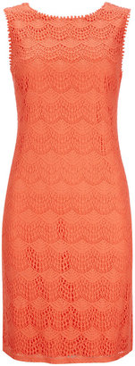Wallis Coral Lace Shift Dress