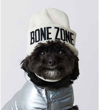 American Eagle American Beagle Outfitters Bone Zone Beanie