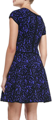 Milly Velvet-Lace A-Line Dress