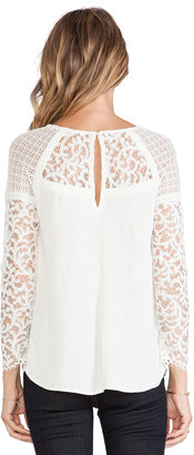 Twelfth St. By Cynthia Vincent By Cynthia Vincent Contrast Lace Blouse