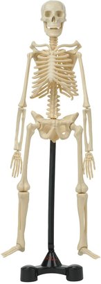 House of Fraser Hamleys Bones skeleton model kit