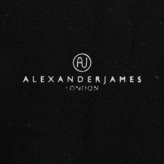 Alexander James - Wenge & Smoke Shagreen Coasters - Set of 4
