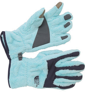The North Face Women's Etip Denali Thermal Glove