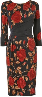 House of Fraser Phase Eight Seraphina print dress