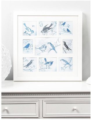 Graham & Brown Feathered Friends Collectables Collection Small Frame