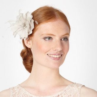 Debut Light grey pointed feather corsage clip