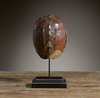 Restoration Hardware South Sea Large Turtle on Stand