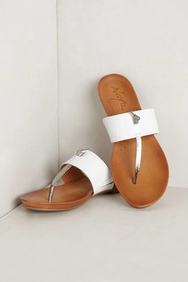 Naya Napier Sandals