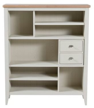 Willis & Gambier Elm and painted 'Coast' small bookcase with 2 drawers