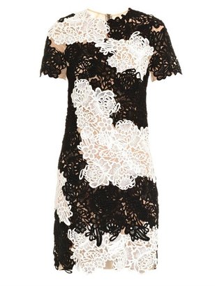 Erdem Nadene bi-colour lace appliqué dress