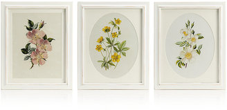 Marks and Spencer 3 Pack Floral Wall Art