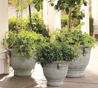 Pottery Barn Brittany Planters