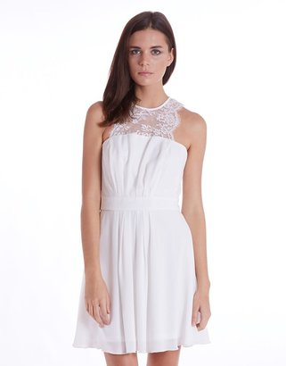 Elise Ryan Skater Dress With Scallop Lace Trim