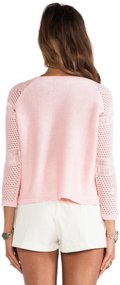 BB Dakota Calida Novelty Stitch Sweater