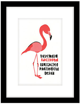 John Lewis 7733 John Lewis Cartwheels and Conkers - Pink Flamingo Framed Print, 43 x 33cm