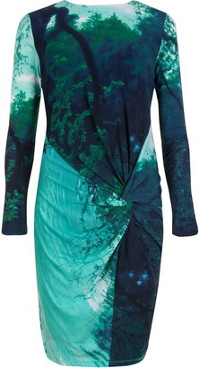 Ted Baker Sibilla reflective landscape dress