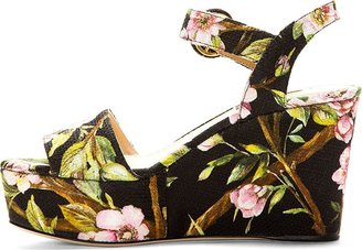 Dolce & Gabbana Black Floral Platform Wedge Heels