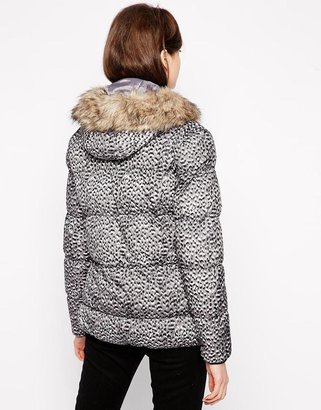 French Connection Wildcat Padded Jacket