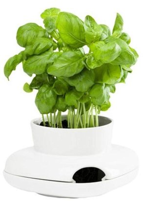 Sagaform Herb Pot Single