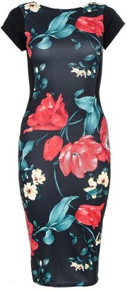 Quiz Flower Print Panel Midi Dress