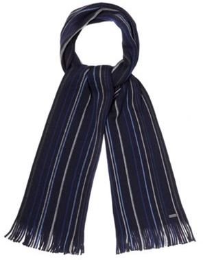 J by Jasper Conran Designer blue vertical fine striped scarf