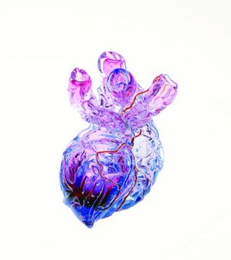 Esque Anatomical Heart Vase