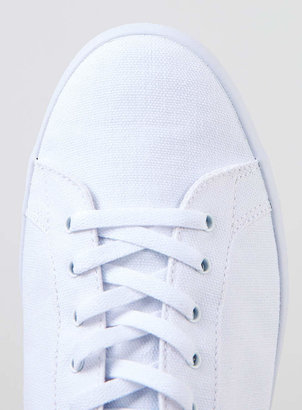 Lacoste White Canvas Trainers