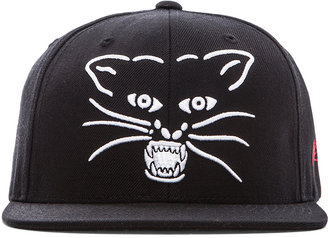 SSUR Plus x Panthers- Panthers Face Snapback