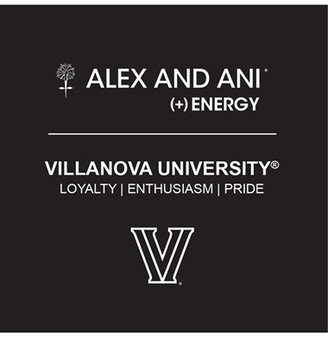Alex and Ani 'Collegiate - Villanova University' Expandable Charm Bangle