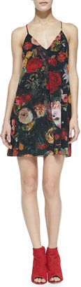 Alice + Olivia Fierra Floral-Print Chiffon Dress
