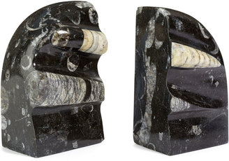 One Kings Lane Pair of Orthoceras Fossil Bookends