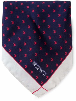 fe-fe butterfly print pocket square