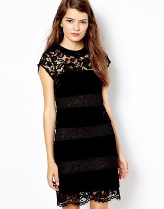 Oasis Lace And Velvet Shift Dress