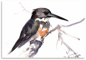 Americanflat Belted Kingfisher 2 Print Art