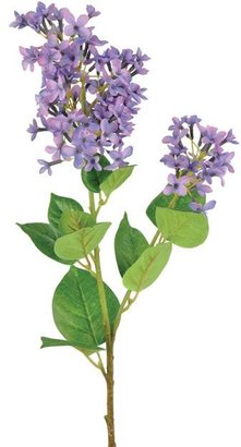 Linea Purple lilac single stem