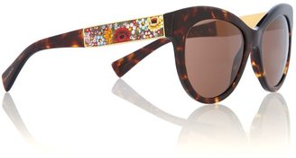 D&G 1024 D&G Sunglasses Women brown round sunglasses