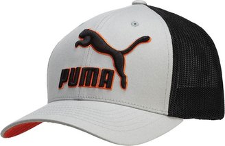 Puma All-Pro Mesh Fitted Hat