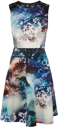 Coast Millie Print Dress