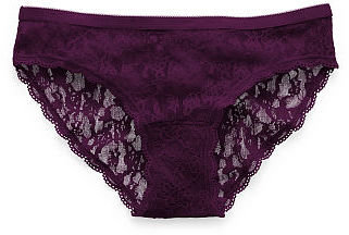Victoria's Secret Allover Lace from Cotton Lingerie Bikini Panty