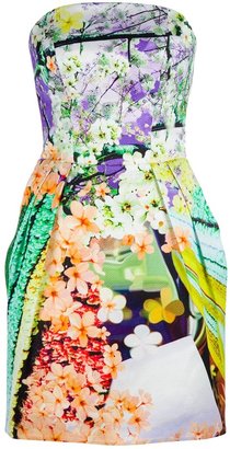 Mary Katrantzou Floral Bustier Dress