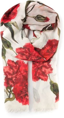 Dolce & Gabbana Carnations print scarf