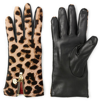 Diane von Furstenberg Leopard Haircalf Zip Gloves
