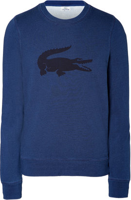 Lacoste Cotton Logo Sweatshirt