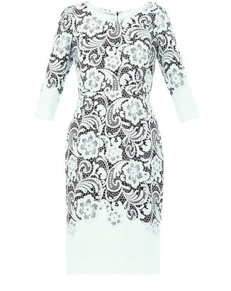 Dolce & Gabbana Tricotina lace-print fitted dress