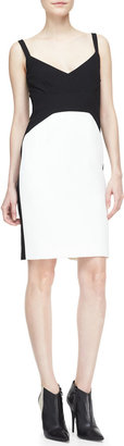Narciso Rodriguez Strapped Colorblock Sheath Dress
