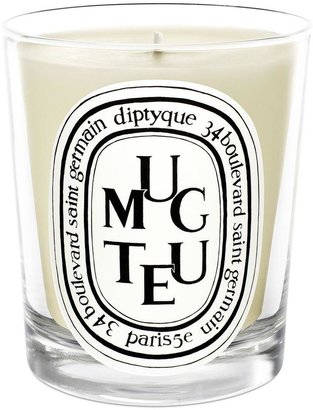 Diptyque Muguet Scented Candle, 190g