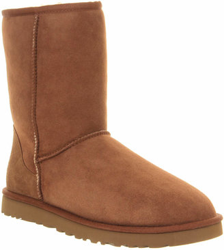 UGG Classic Short Boots Chestnut Suede