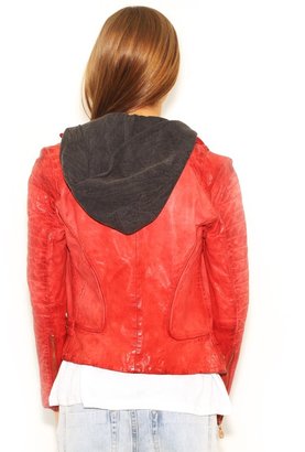 Doma Camille Leather Jacket with Detachable Hood in Lady Bug